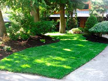 Romero Landscaping & Lawn Care Services - Our Works