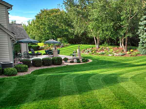 Romero Landscaping & Lawn Care Services