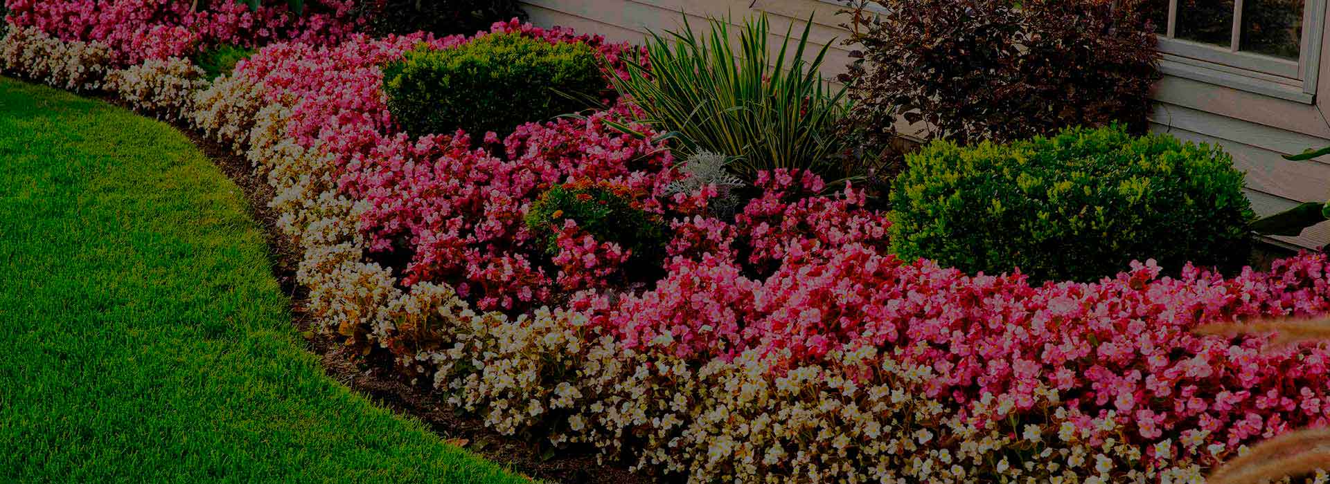 Home - Romero Landscaping & Lawn Care Services